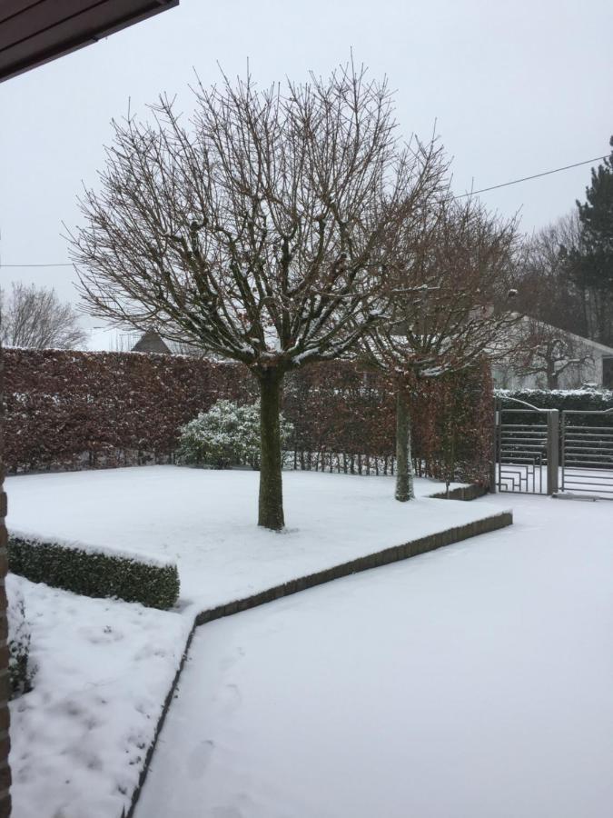 Artemis Villa Ronse Eksteriør billede
